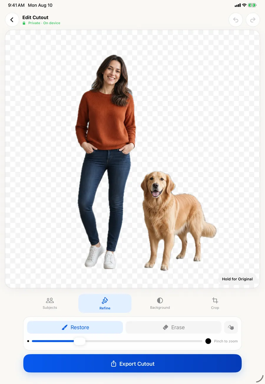 The Refine tools on iPad with Restore and Erase around a cutout