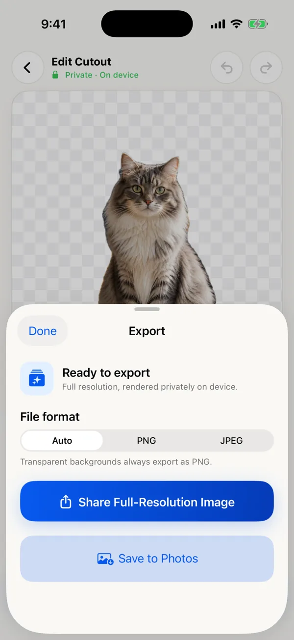 Export sheet with Auto format selected and a note that transparent backgrounds always export as PNG