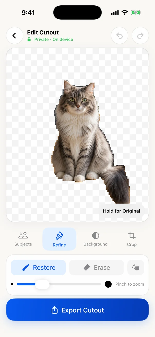 The Refine view shows Restore and Erase brushes around a cat cutout. Inspect fur and background gaps before exporting.